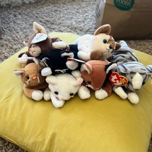 Cat beanie baby lots